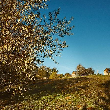 Scandinave Chalet Bran Zărneşti Bagian luar foto
