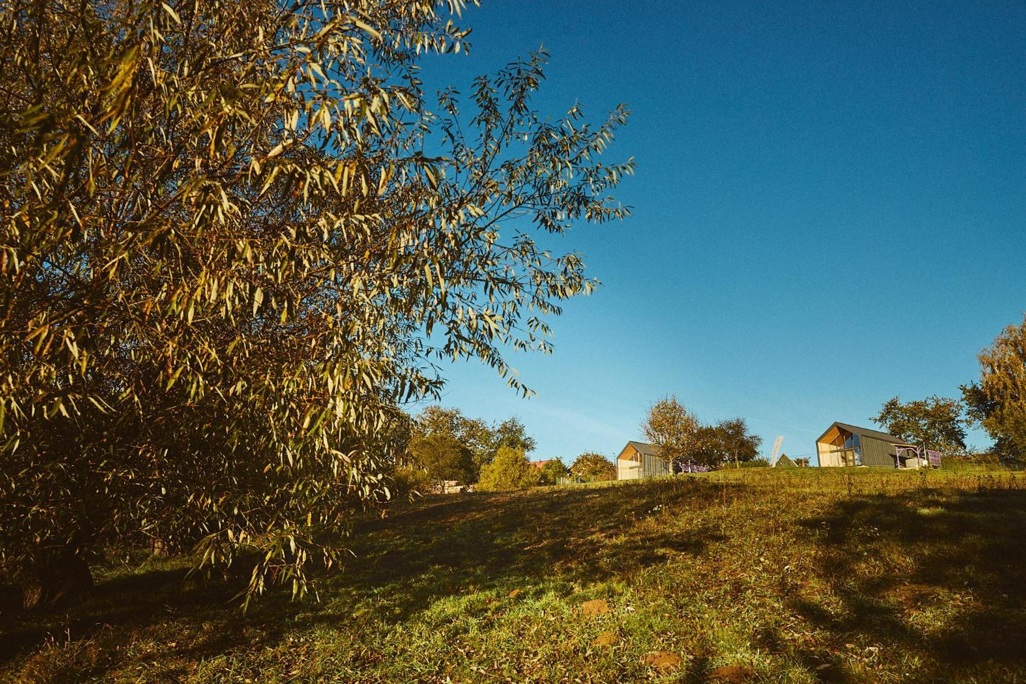 Scandinave Chalet Bran Zărneşti Bagian luar foto