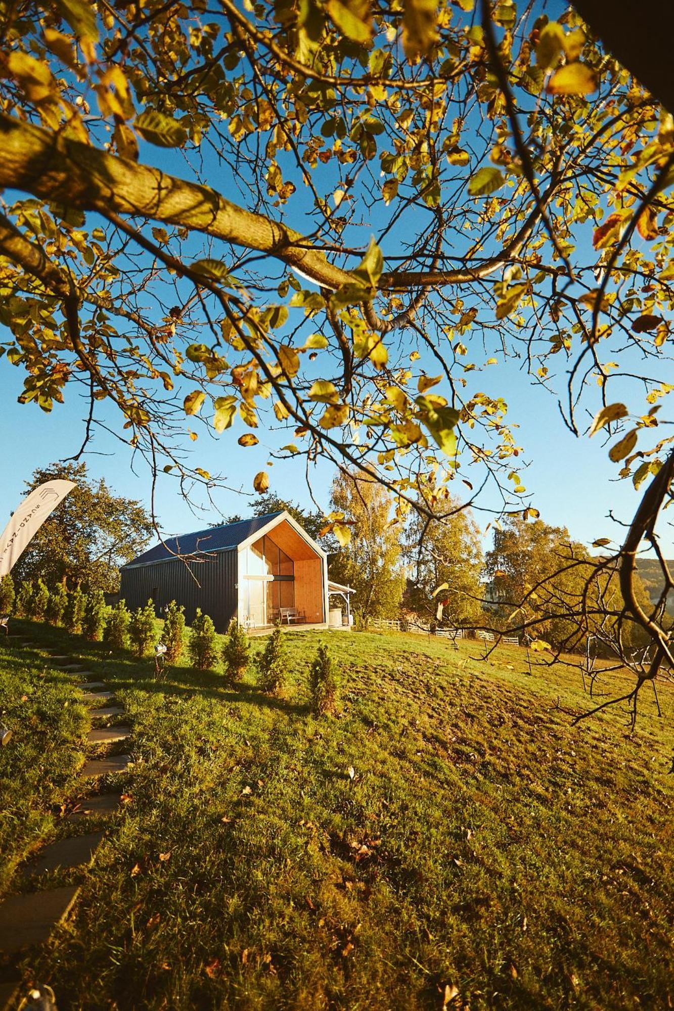 Scandinave Chalet Bran Zărneşti Bagian luar foto