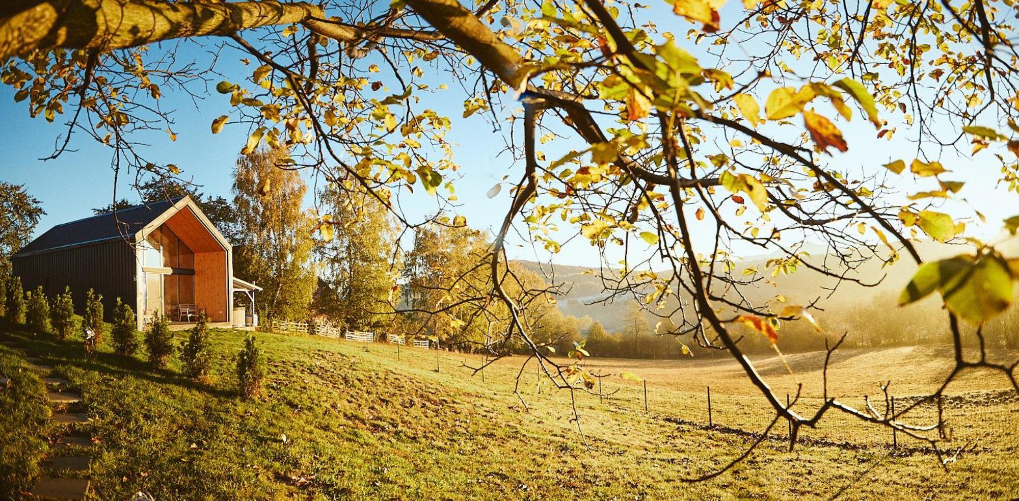 Scandinave Chalet Bran Zărneşti Bagian luar foto