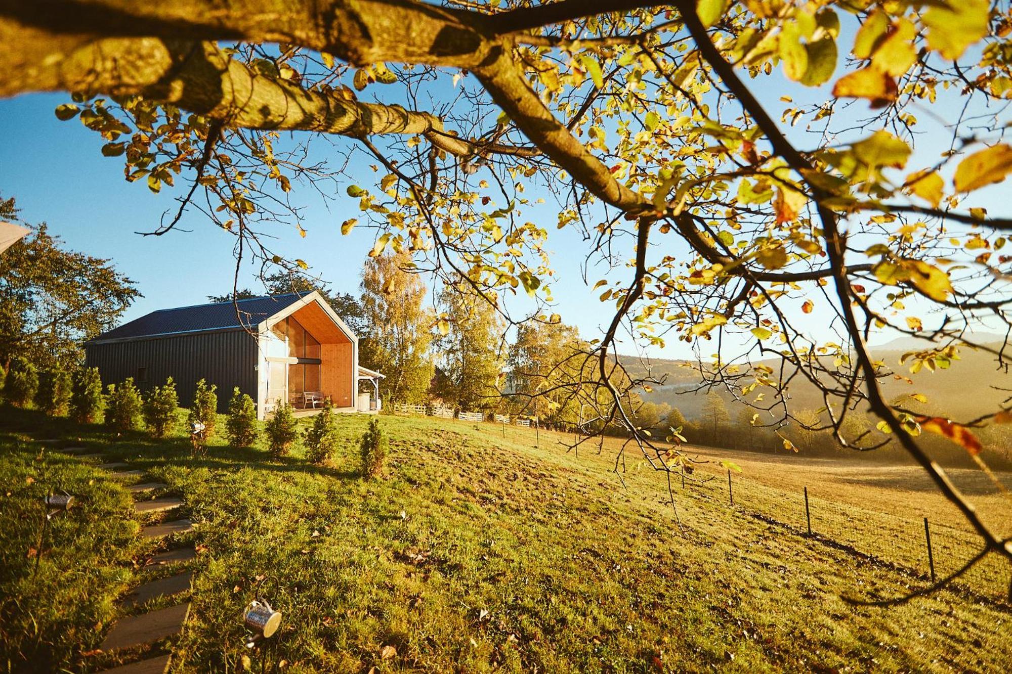 Scandinave Chalet Bran Zărneşti Bagian luar foto