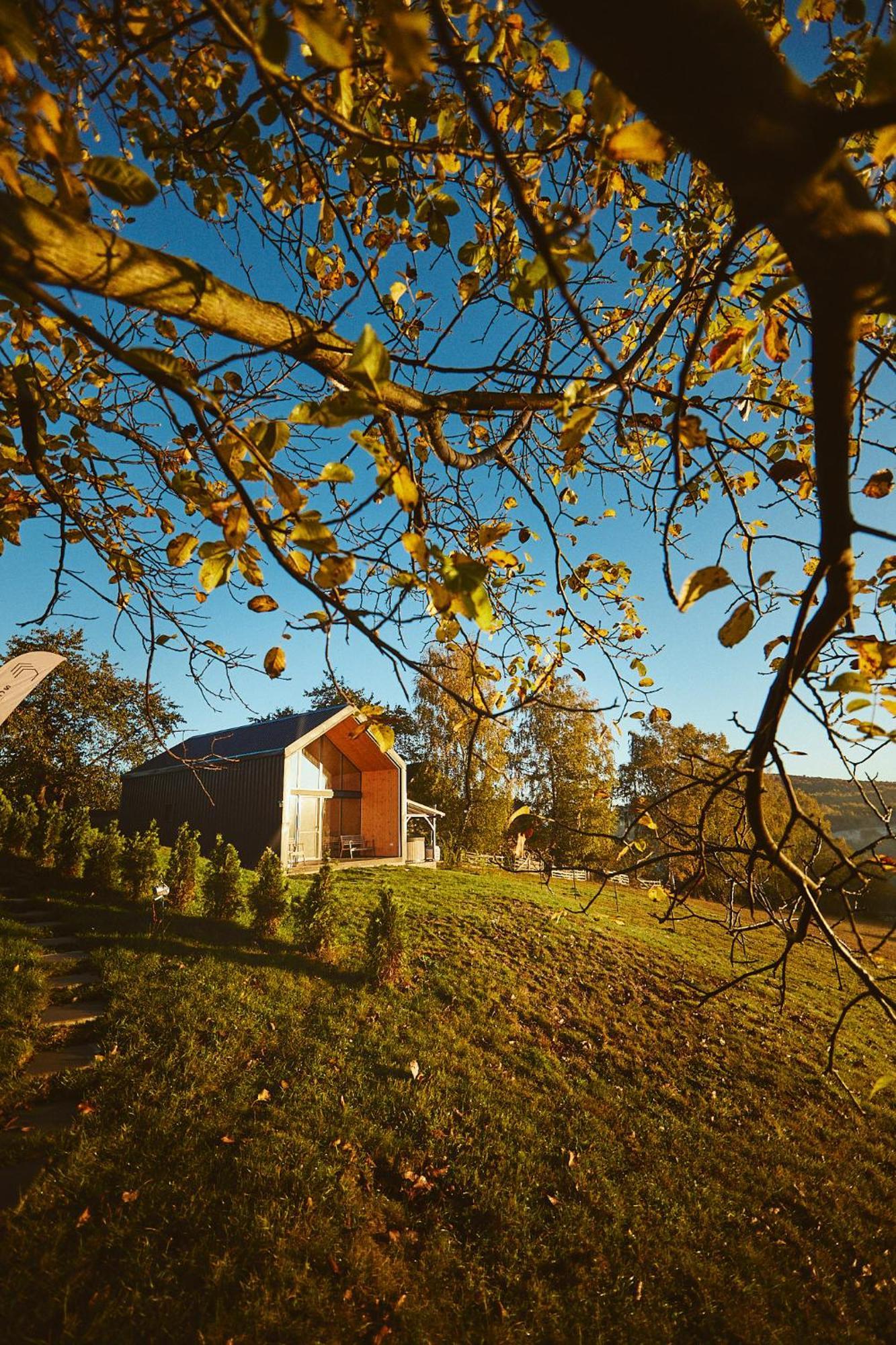 Scandinave Chalet Bran Zărneşti Bagian luar foto
