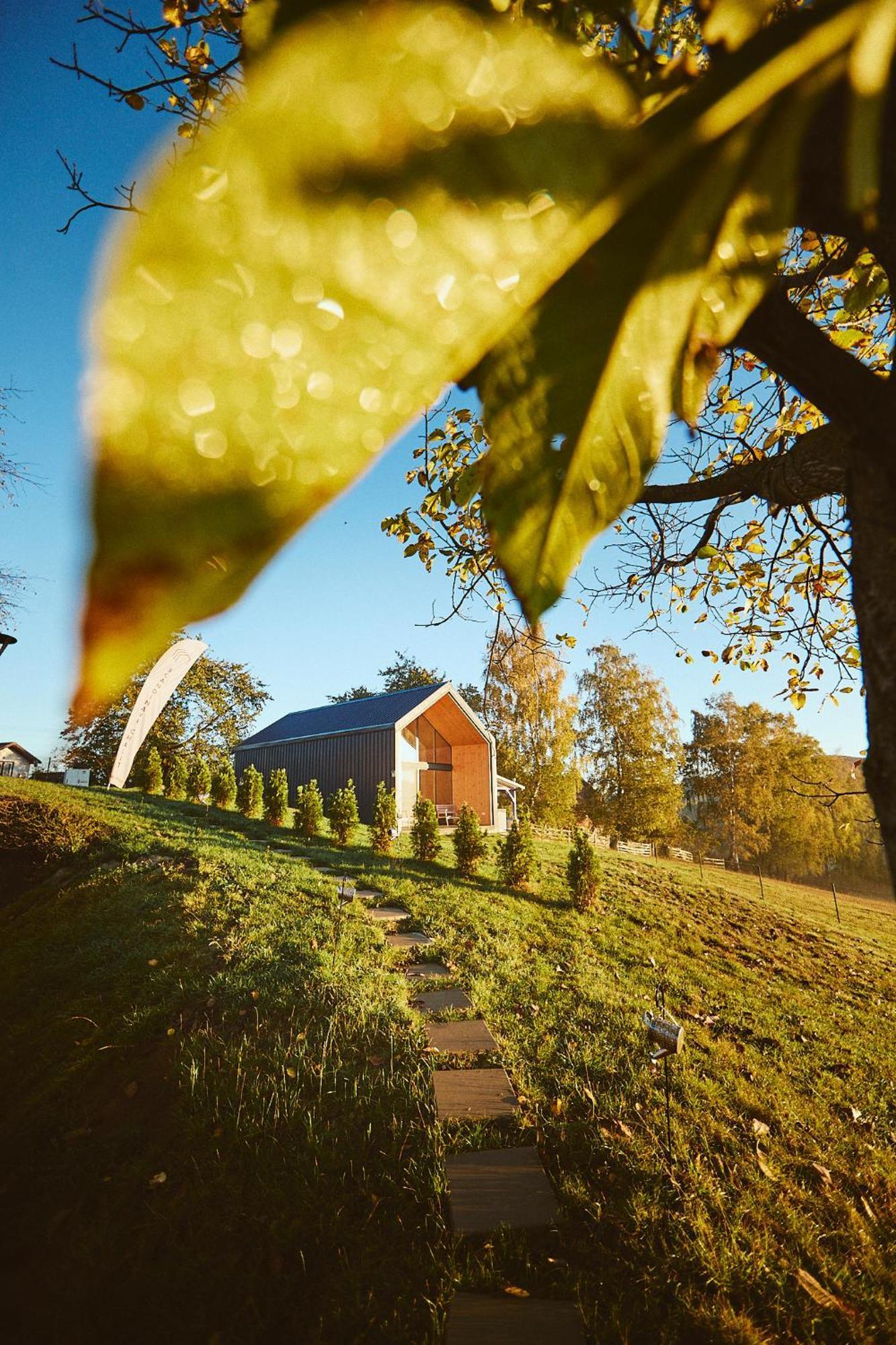 Scandinave Chalet Bran Zărneşti Bagian luar foto