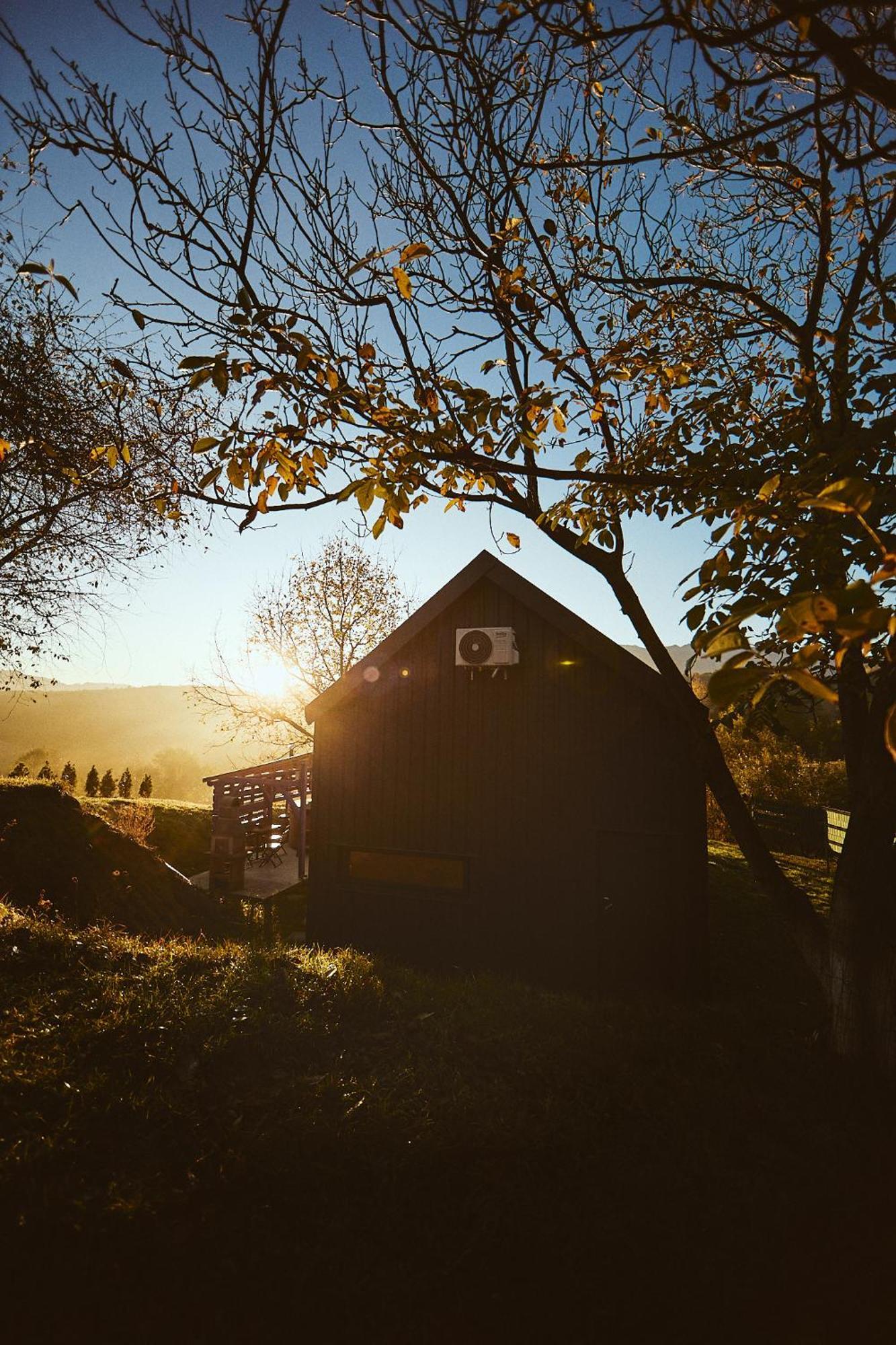 Scandinave Chalet Bran Zărneşti Bagian luar foto